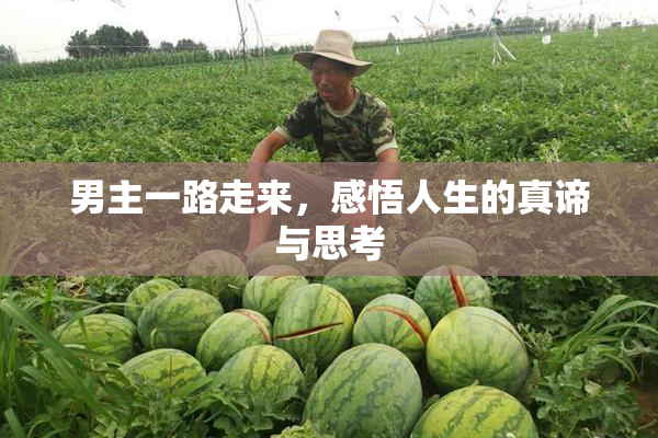 男主一路走来，感悟人生的真谛与思考