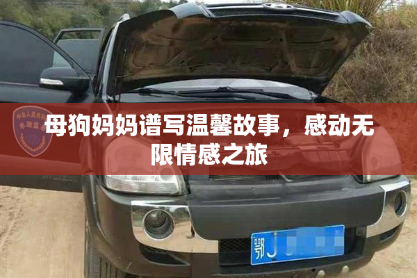 母狗妈妈谱写温馨故事，感动无限情感之旅