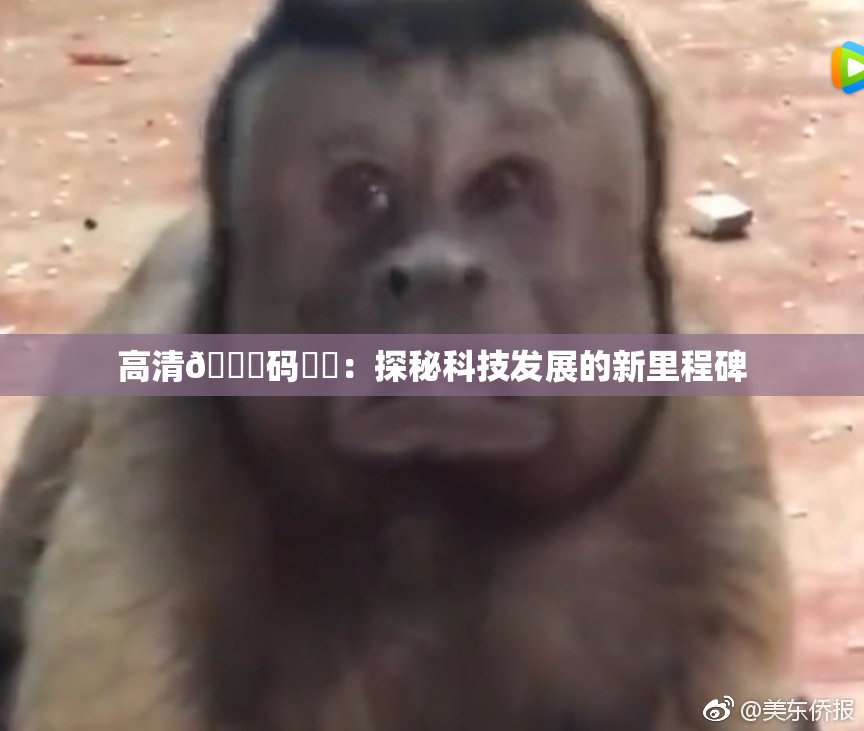 高清🈚码❌‌：探秘科技发展的新里程碑