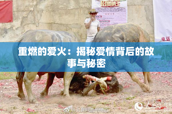 重燃的爱火：揭秘爱情背后的故事与秘密
