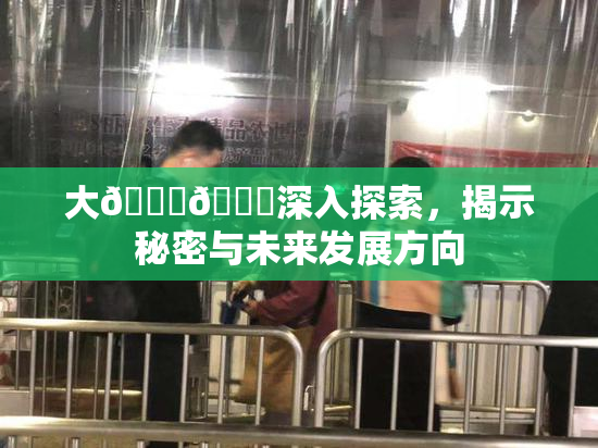 大🐔🐔深入探索，揭示秘密与未来发展方向