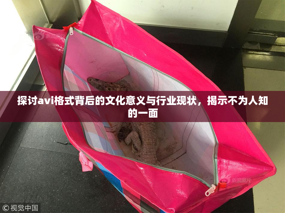 探讨avi格式背后的文化意义与行业现状，揭示不为人知的一面