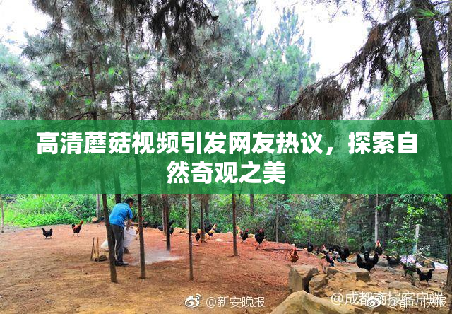 高清蘑菇视频引发网友热议，探索自然奇观之美
