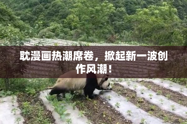 耽漫画热潮席卷，掀起新一波创作风潮！