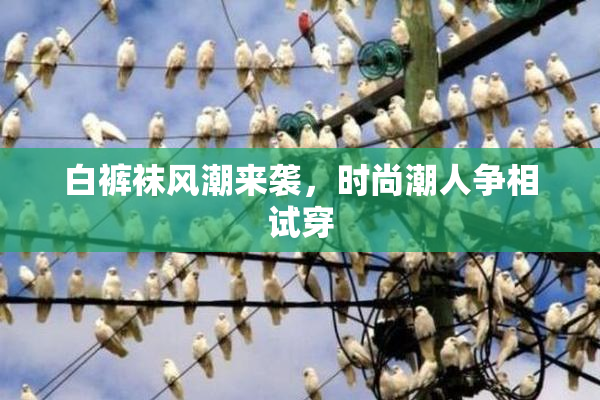 白裤袜风潮来袭，时尚潮人争相试穿
