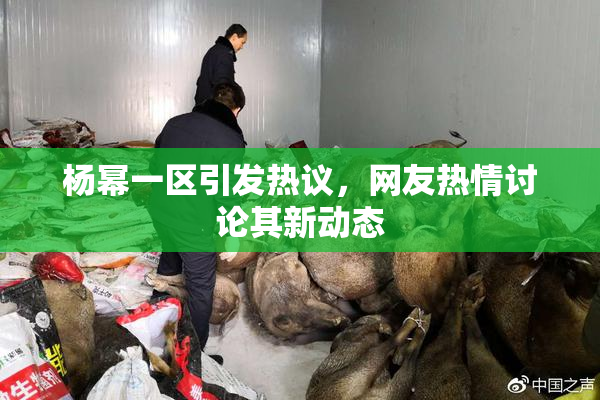 杨幂一区引发热议，网友热情讨论其新动态