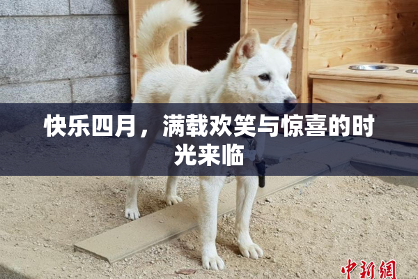 快乐四月，满载欢笑与惊喜的时光来临