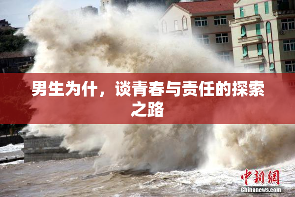 男生为什，谈青春与责任的探索之路