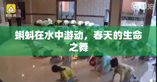 蝌蚪在水中游动，春天的生命之舞