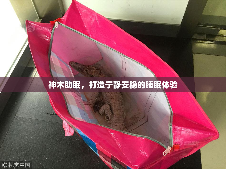 神木助眠，打造宁静安稳的睡眠体验