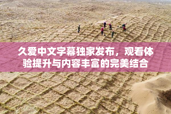 久爱中文字幕独家发布，观看体验提升与内容丰富的完美结合