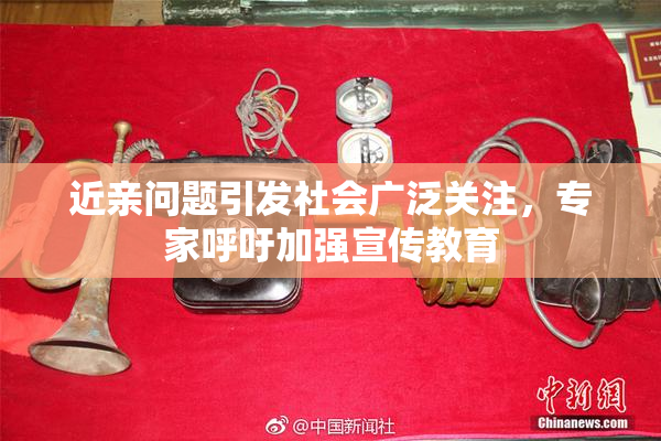 近亲问题引发社会广泛关注，专家呼吁加强宣传教育