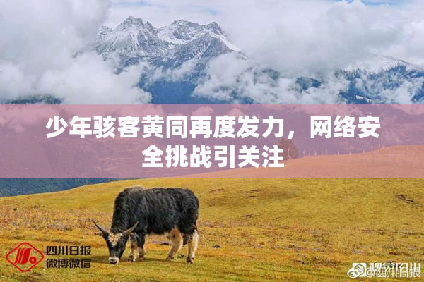 少年骇客黄同再度发力，网络安全挑战引关注