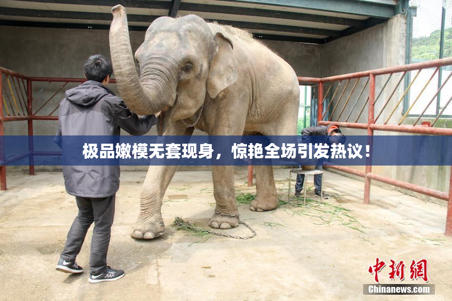 极品嫩模无套现身，惊艳全场引发热议！