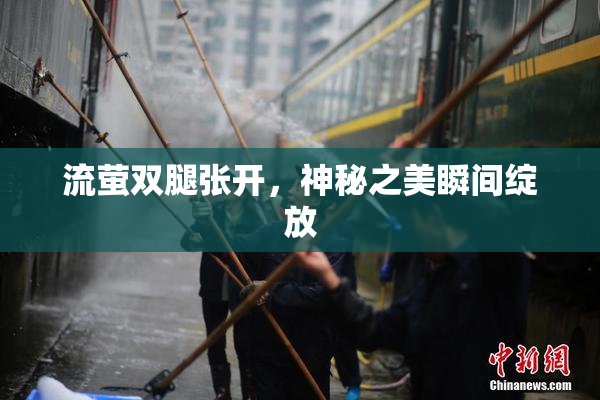 流萤双腿张开，神秘之美瞬间绽放