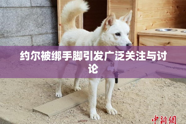 约尔被绑手脚引发广泛关注与讨论