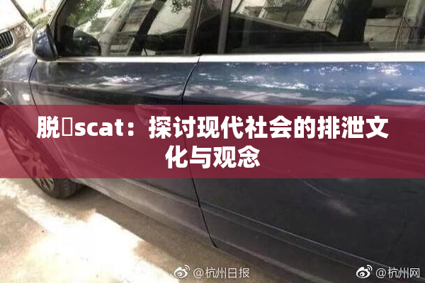 脱糞scat：探讨现代社会的排泄文化与观念