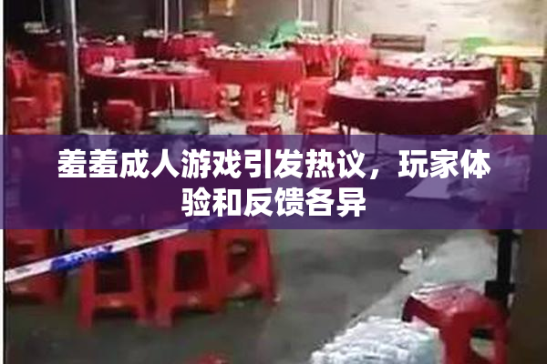 羞羞成人游戏引发热议，玩家体验和反馈各异