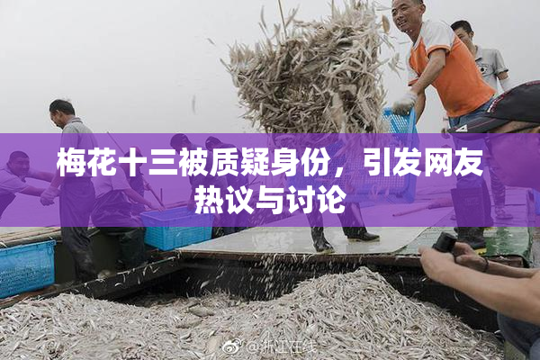 梅花十三被质疑身份，引发网友热议与讨论