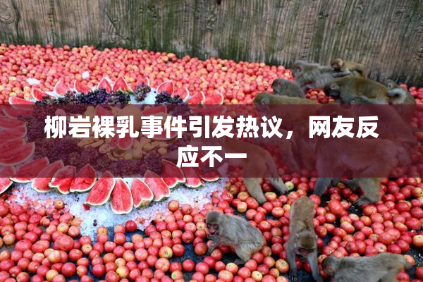 柳岩裸乳事件引发热议，网友反应不一