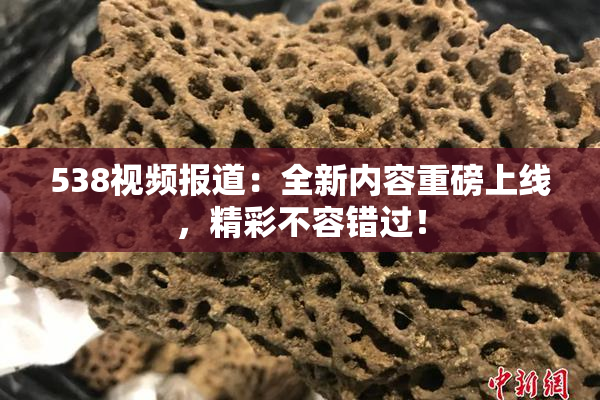 538视频报道：全新内容重磅上线，精彩不容错过！