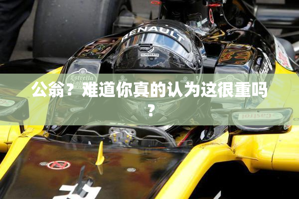 公翁？难道你真的认为这很重吗？