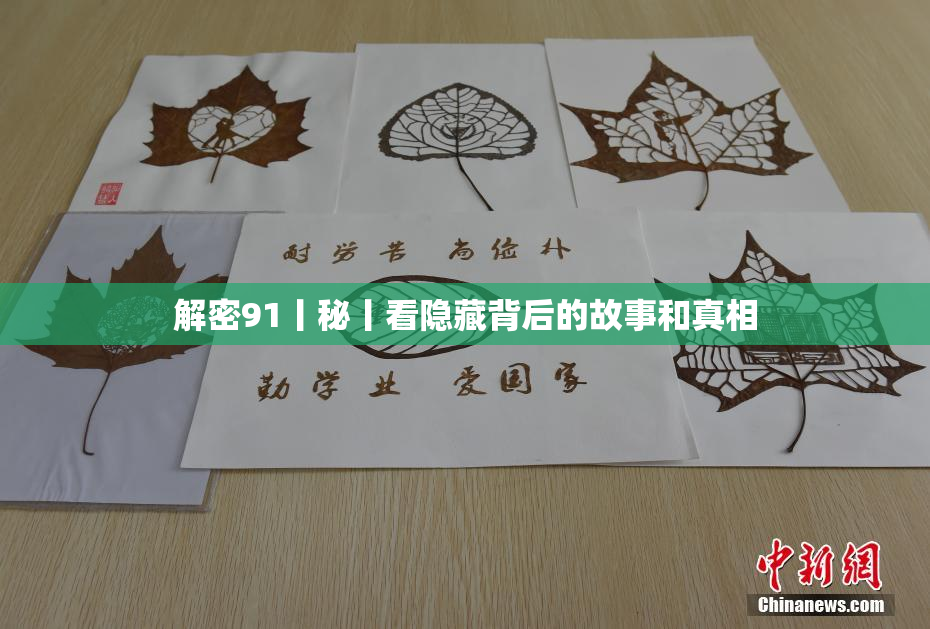 解密91丨秘丨看隐藏背后的故事和真相