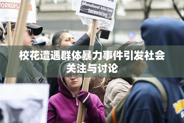 校花遭遇群体暴力事件引发社会关注与讨论