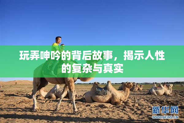玩弄呻吟的背后故事，揭示人性的复杂与真实