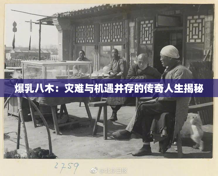 爆乳八木：灾难与机遇并存的传奇人生揭秘