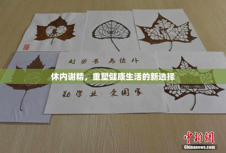 休内谢精，重塑健康生活的新选择