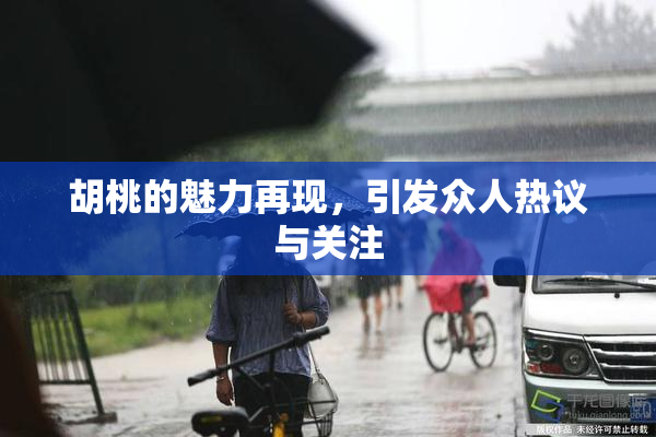 胡桃的魅力再现，引发众人热议与关注