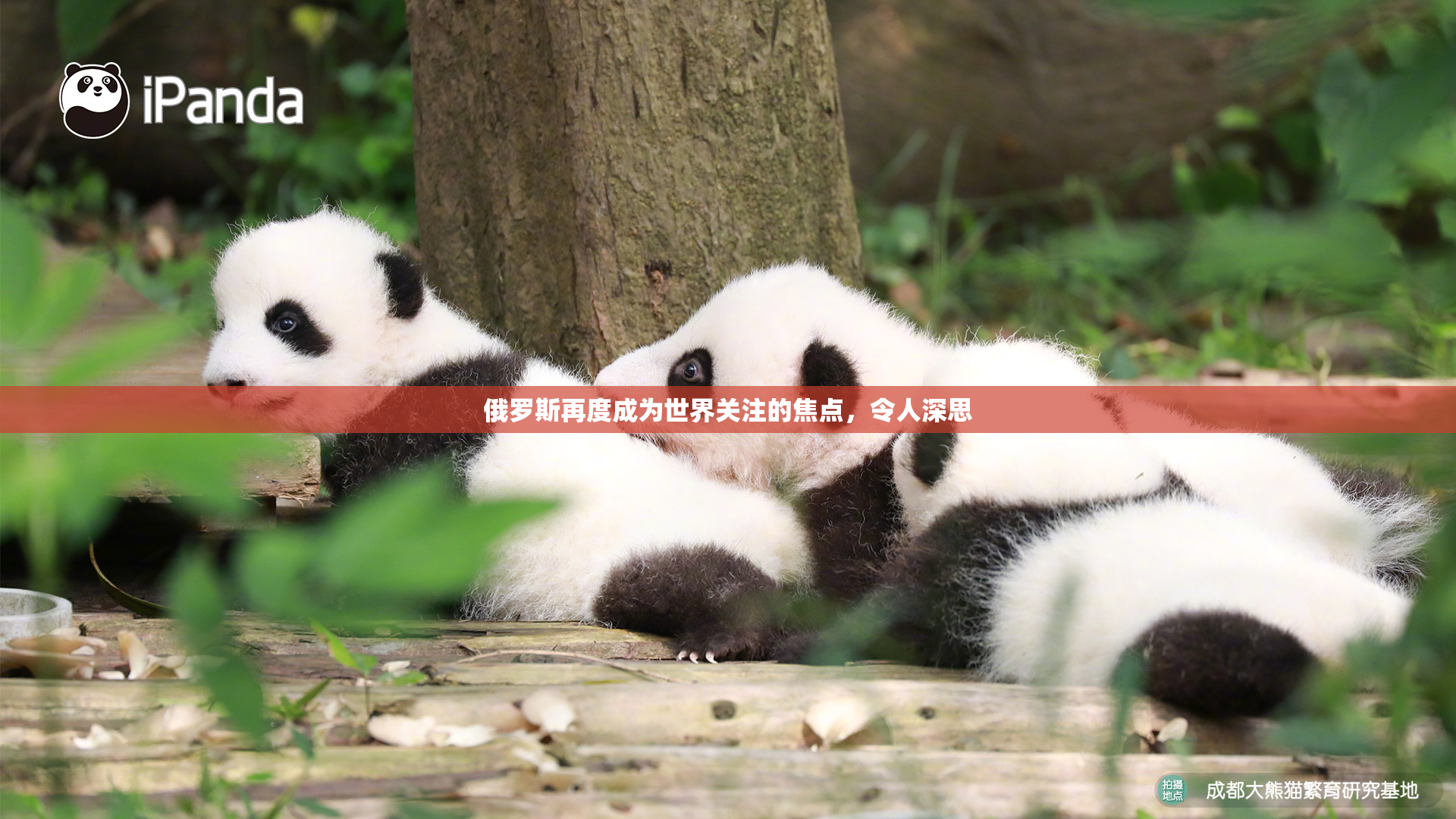 俄罗斯再度成为世界关注的焦点，令人深思