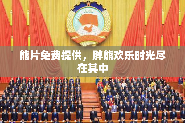 熊片免费提供，胖熊欢乐时光尽在其中