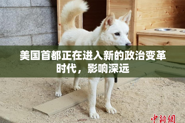 美国首都正在进入新的政治变革时代，影响深远