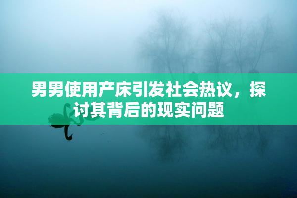 男男使用产床引发社会热议，探讨其背后的现实问题