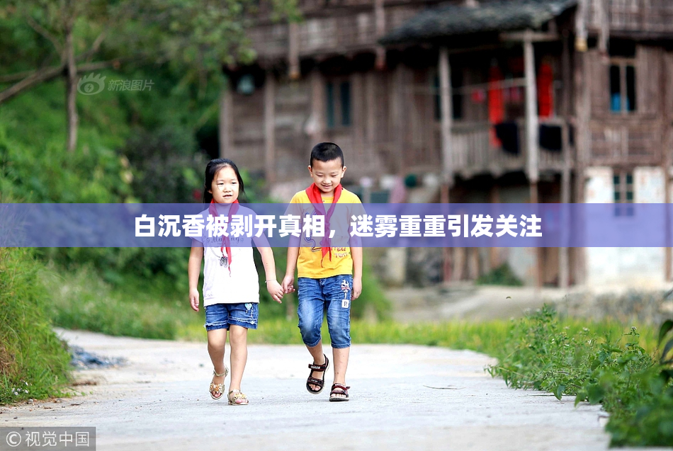 白沉香被剥开真相，迷雾重重引发关注