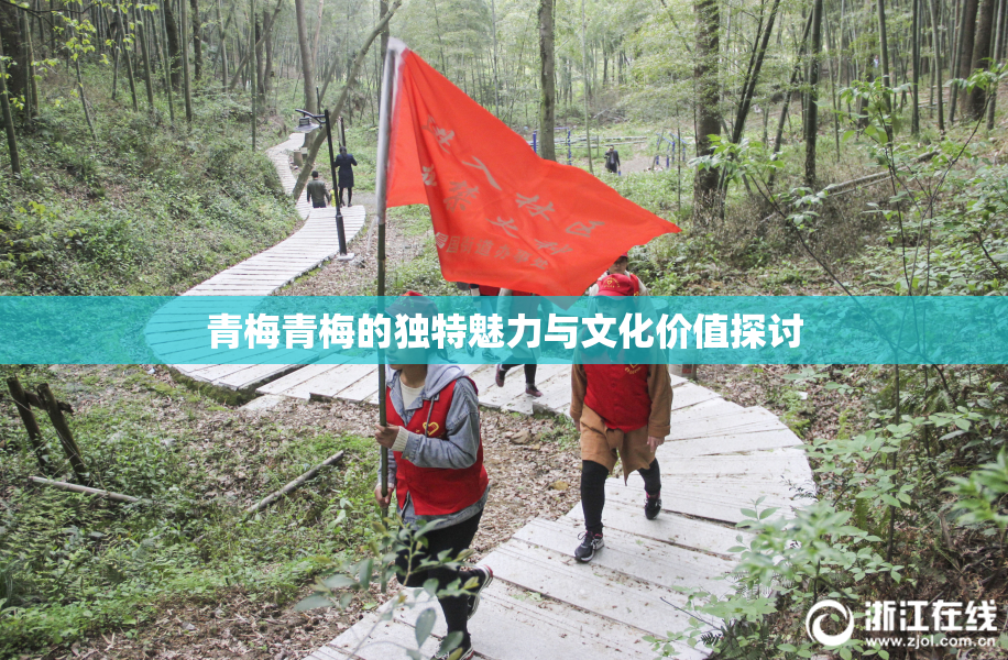 青梅青梅的独特魅力与文化价值探讨