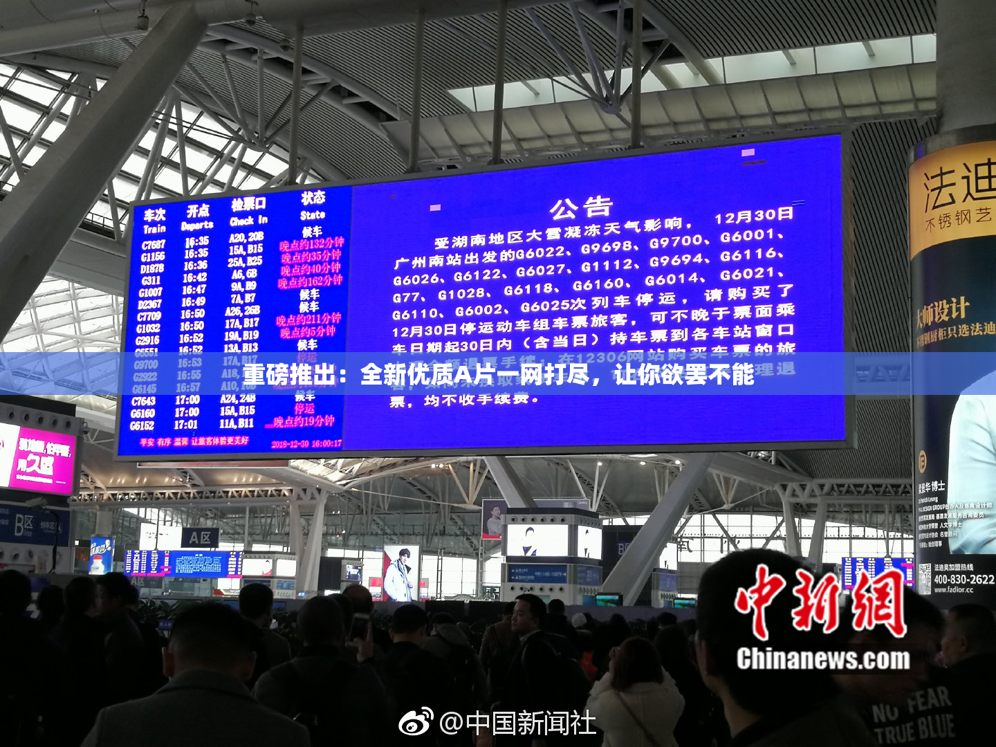重磅推出：全新优质A片一网打尽，让你欲罢不能