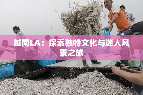 越南LA：探索独特文化与迷人风景之旅