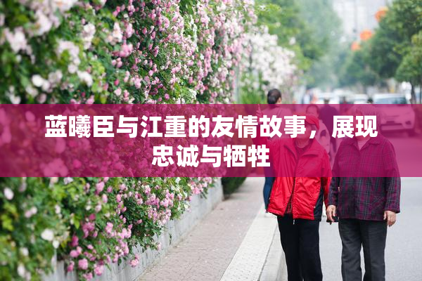 蓝曦臣与江重的友情故事，展现忠诚与牺牲