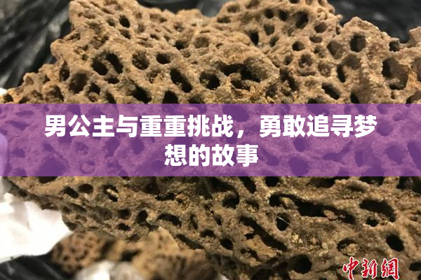 男公主与重重挑战，勇敢追寻梦想的故事