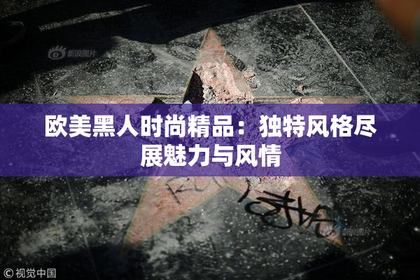 欧美黑人时尚精品：独特风格尽展魅力与风情