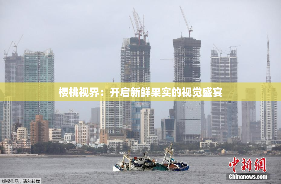 樱桃视界：开启新鲜果实的视觉盛宴