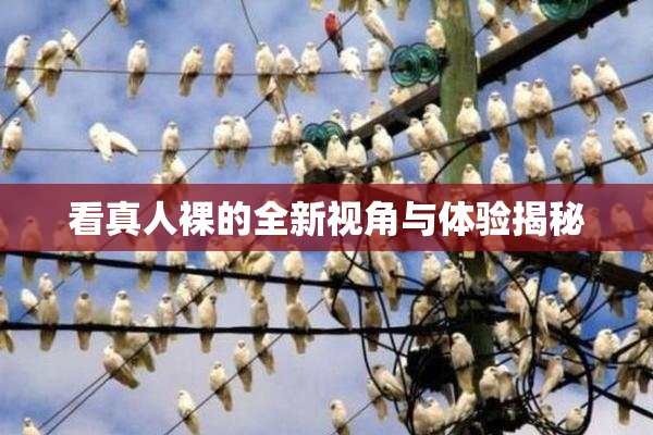 看真人裸的全新视角与体验揭秘