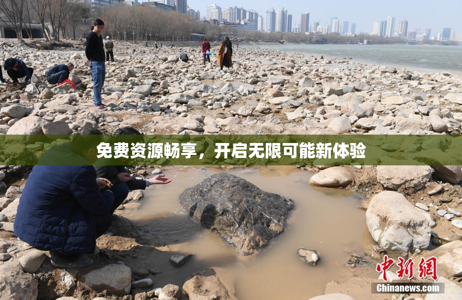 免费资源畅享，开启无限可能新体验