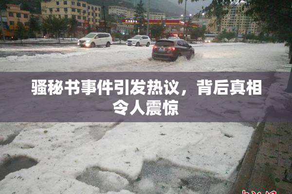 骚秘书事件引发热议，背后真相令人震惊