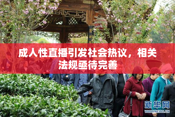 成人性直播引发社会热议，相关法规亟待完善