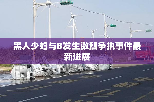 黑人少妇与B发生激烈争执事件最新进展