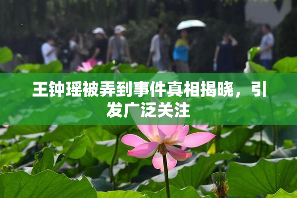 王钟瑶被弄到事件真相揭晓，引发广泛关注